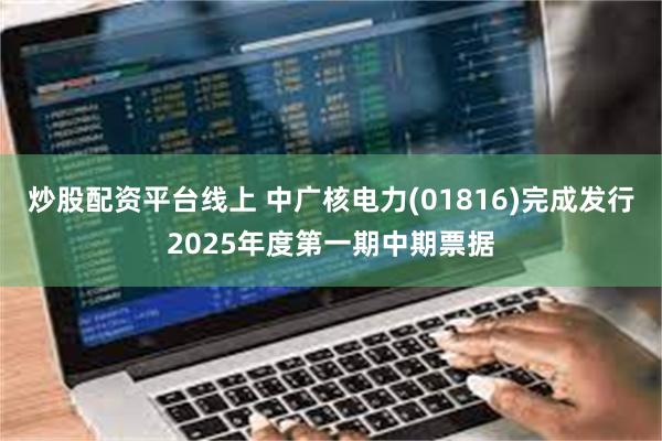 炒股配资平台线上 中广核电力(01816)完成发行2025年度第一期中期票据