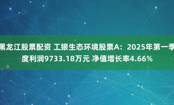 黑龙江股票配资 工银生态环境股票A：2025年第一季度利润9733.18万元 净值增长率4.66%