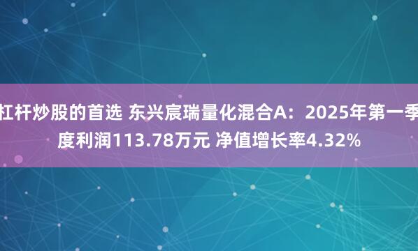 杠杆炒股的首选 东兴宸瑞量化混合A：2025年第一季度利润113.78万元 净值增长率4.32%