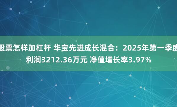 股票怎样加杠杆 华宝先进成长混合：2025年第一季度利润3212.36万元 净值增长率3.97%