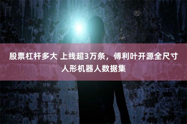 股票杠杆多大 上线超3万条，傅利叶开源全尺寸人形机器人数据集