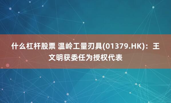 什么杠杆股票 温岭工量刃具(01379.HK)：王文明获委任为授权代表