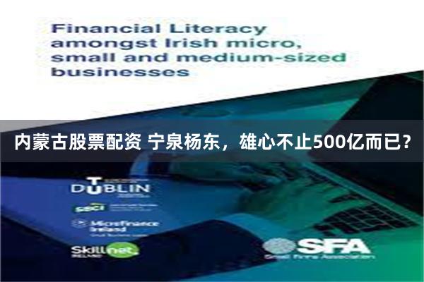 内蒙古股票配资 宁泉杨东，雄心不止500亿而已？