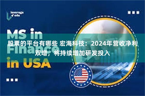 股票的平台有哪些 宏海科技：2024年营收净利双增，将持续增加研发投入