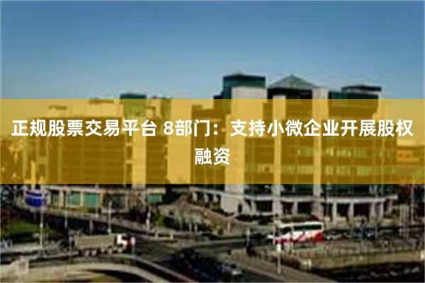 正规股票交易平台 8部门：支持小微企业开展股权融资