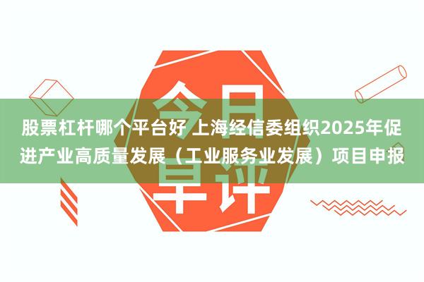 股票杠杆哪个平台好 上海经信委组织2025年促进产业高质量发展（工业服务业发展）项目申报