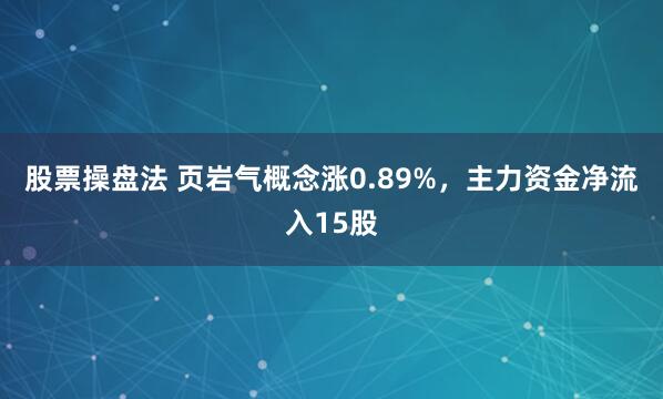 股票操盘法 页岩气概念涨0.89%，主力资金净流入15股