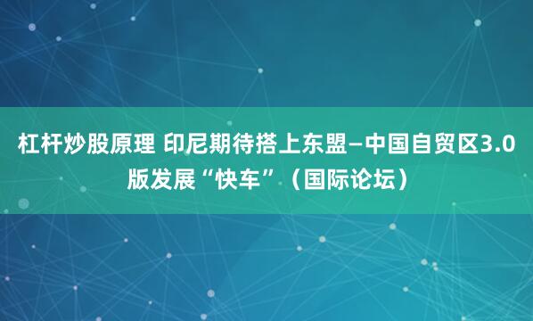 杠杆炒股原理 印尼期待搭上东盟—中国自贸区3.0版发展“快车”（国际论坛）