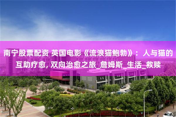 南宁股票配资 英国电影《流浪猫鲍勃》：人与猫的互助疗愈, 双向治愈之旅_詹姆斯_生活_救赎