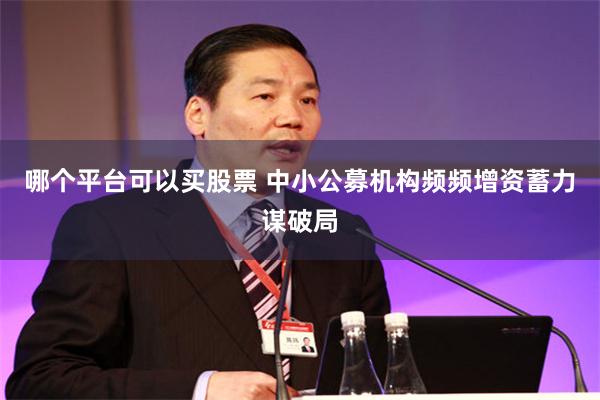 哪个平台可以买股票 中小公募机构频频增资蓄力谋破局