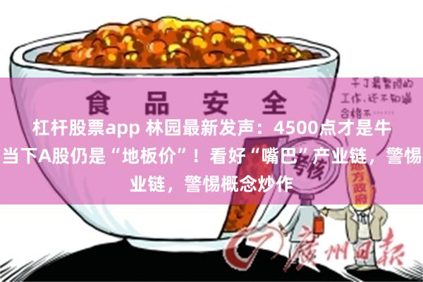 杠杆股票app 林园最新发声：4500点才是牛市起点，当下A股仍是“地板价”！看好“嘴巴”产业链，警惕概念炒作