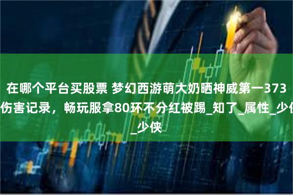 在哪个平台买股票 梦幻西游萌大奶晒神威第一3735伤害记录，畅玩服拿80环不分红被踢_知了_属性_少侠