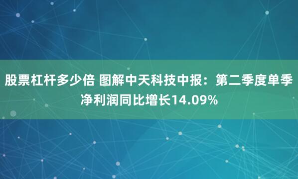 股票杠杆多少倍 图解中天科技中报：第二季度单季净利润同比增长14.09%