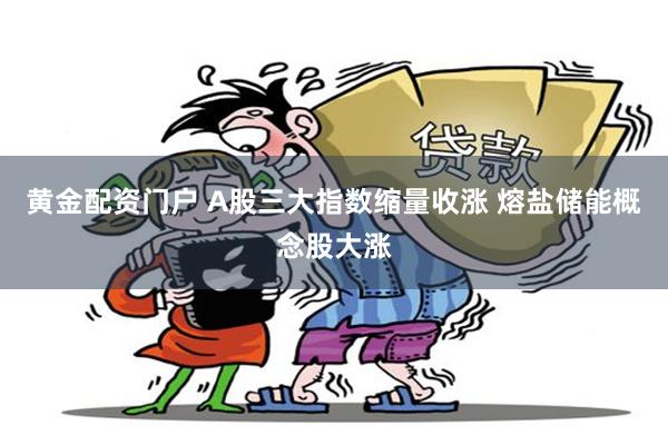 黄金配资门户 A股三大指数缩量收涨 熔盐储能概念股大涨