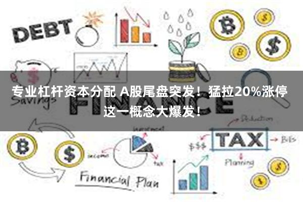 专业杠杆资本分配 A股尾盘突发!猛拉20%涨停 这一概念大爆发!