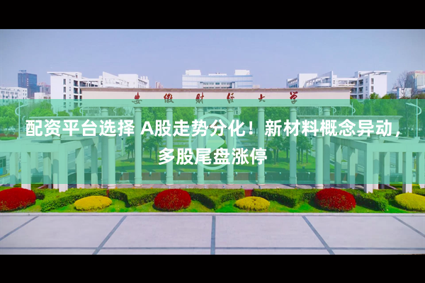 配资平台选择 A股走势分化!新材料概念异动,多股尾盘涨停