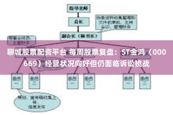 聊城股票配资平台 每周股票复盘：ST金鸿（000669）经营状况向好但仍面临诉讼挑战