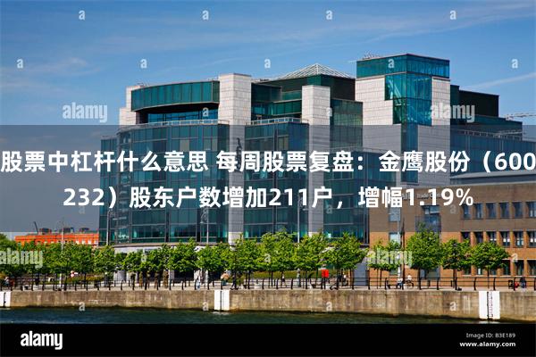 股票中杠杆什么意思 每周股票复盘：金鹰股份（600232）股东户数增加211户，增幅1.19%