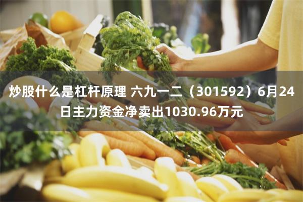 炒股什么是杠杆原理 六九一二(301592)6月24日主力资金净卖出1030.96万元