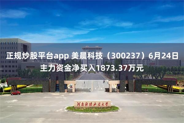 正规炒股平台app 美晨科技（300237）6月24日主力资金净买入1873.37万元