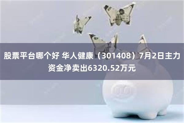 股票平台哪个好 华人健康（301408）7月2日主力资金净卖出6320.52万元