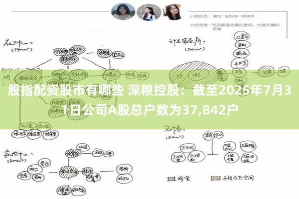 股指配资股市有哪些 深粮控股：截至2025年7月31日公司A股总户数为37,842户