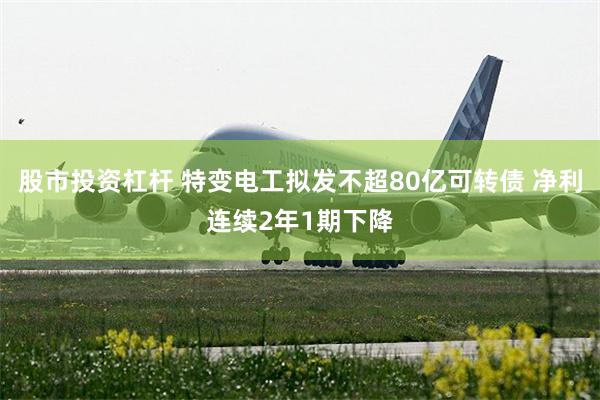 股市投资杠杆 特变电工拟发不超80亿可转债 净利连续2年1期下降