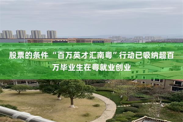 股票的条件 “百万英才汇南粤”行动已吸纳超百万毕业生在粤就业创业