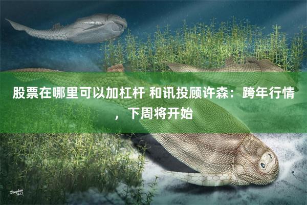 股票在哪里可以加杠杆 和讯投顾许森：跨年行情，下周将开始