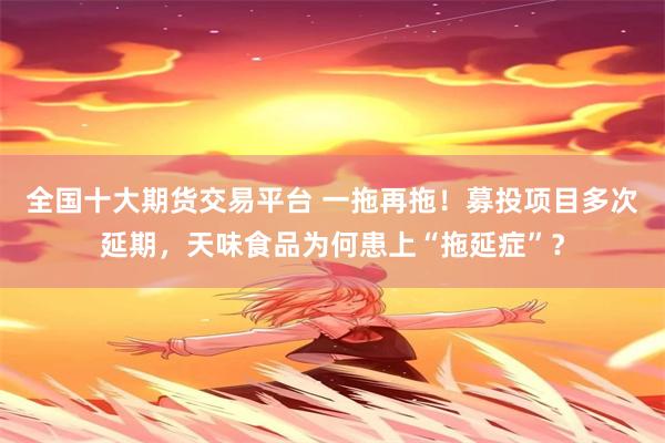 全国十大期货交易平台 一拖再拖！募投项目多次延期，天味食品为何患上“拖延症”？