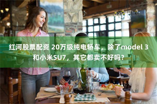 红河股票配资 20万级纯电轿车，除了model 3和小米SU7，其它都卖不好吗？