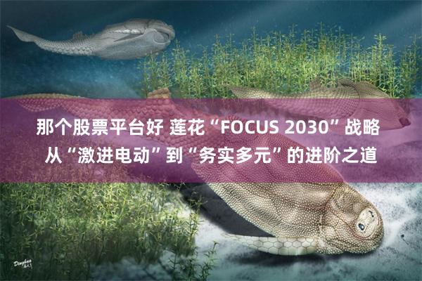 那个股票平台好 莲花“FOCUS 2030”战略 从“激进电动”到“务实多元”的进阶之道