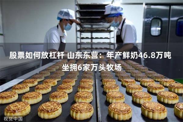 股票如何放杠杆 山东东营：年产鲜奶46.8万吨 坐拥6家万头牧场