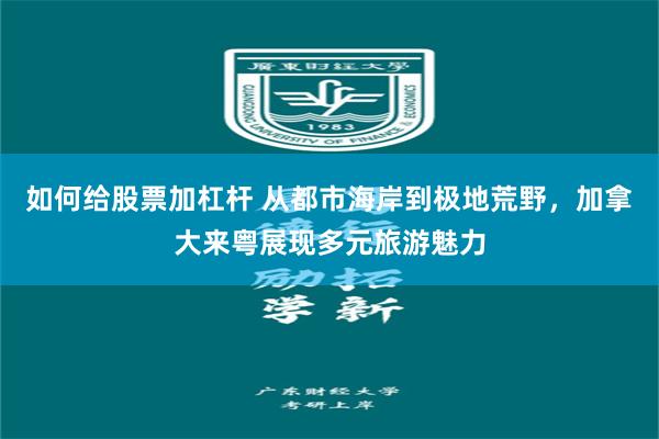 如何给股票加杠杆 从都市海岸到极地荒野，加拿大来粤展现多元旅游魅力