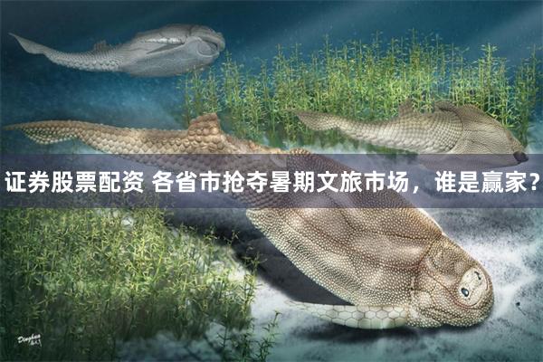 证券股票配资 各省市抢夺暑期文旅市场,谁是赢家?