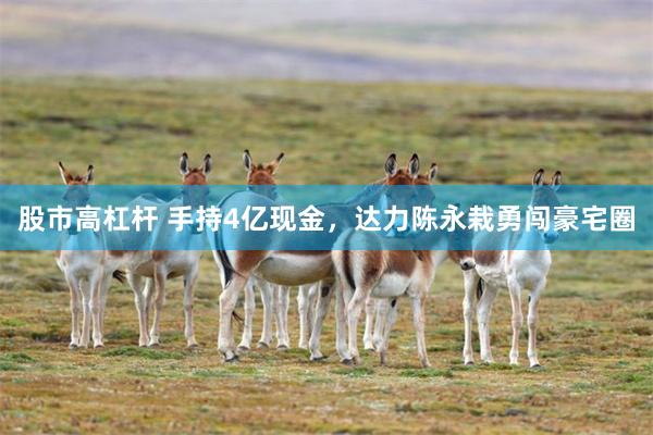 股市高杠杆 手持4亿现金，达力陈永栽勇闯豪宅圈
