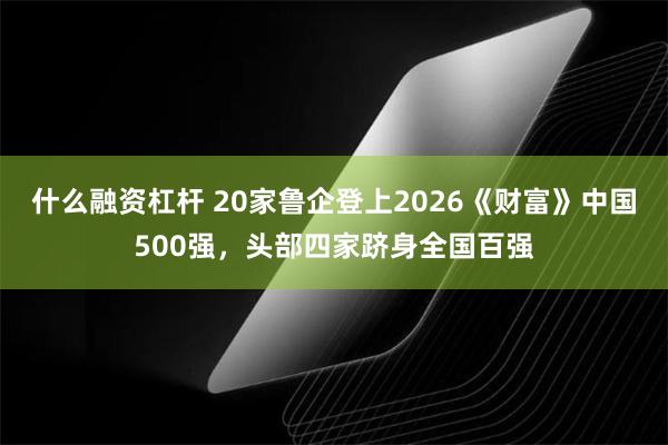 什么融资杠杆 20家鲁企登上2026《财富》中国500强，头部四家跻身全国百强