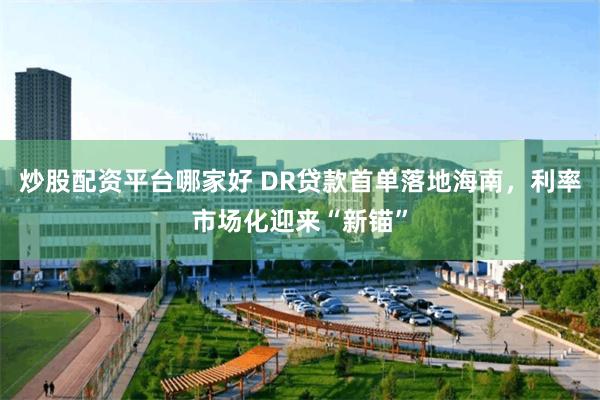 炒股配资平台哪家好 DR贷款首单落地海南，利率市场化迎来“新锚”