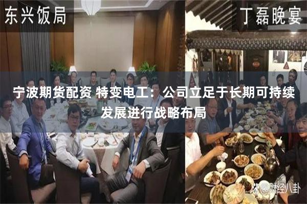 宁波期货配资 特变电工：公司立足于长期可持续发展进行战略布局