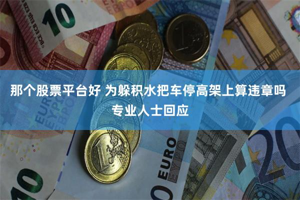 那个股票平台好 为躲积水把车停高架上算违章吗 专业人士回应