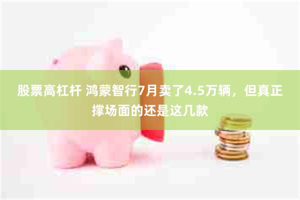 股票高杠杆 鸿蒙智行7月卖了4.5万辆，但真正撑场面的还是这几款