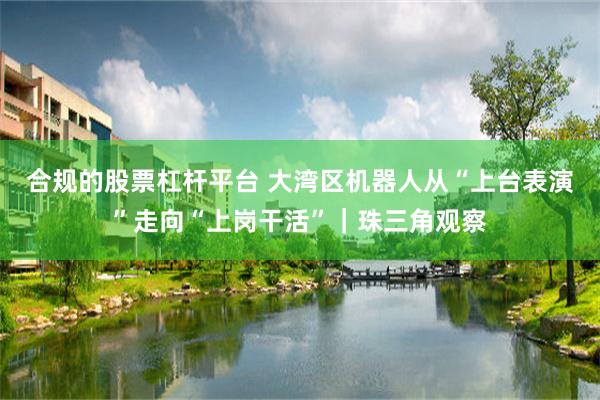合规的股票杠杆平台 大湾区机器人从“上台表演”走向“上岗干活”｜珠三角观察