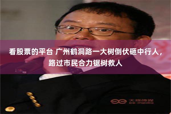 看股票的平台 广州鹤洞路一大树倒伏砸中行人，路过市民合力锯树救人