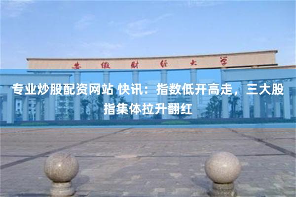 专业炒股配资网站 快讯：指数低开高走，三大股指集体拉升翻红