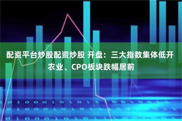 配资平台炒股配资炒股 开盘：三大指数集体低开 农业、CPO板块跌幅居前