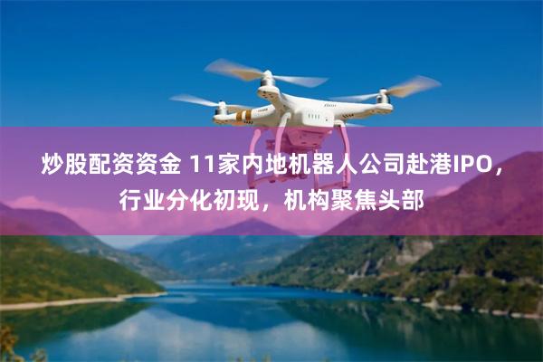 炒股配资资金 11家内地机器人公司赴港IPO，行业分化初现，机构聚焦头部