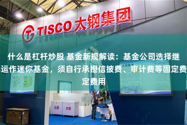 什么是杠杆炒股 基金新规解读：基金公司选择继续运作迷你基金，须自行承担信披费、审计费等固定费用
